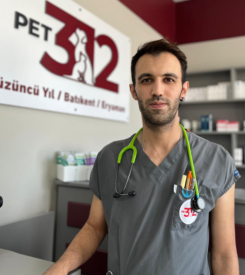 Pet%20312