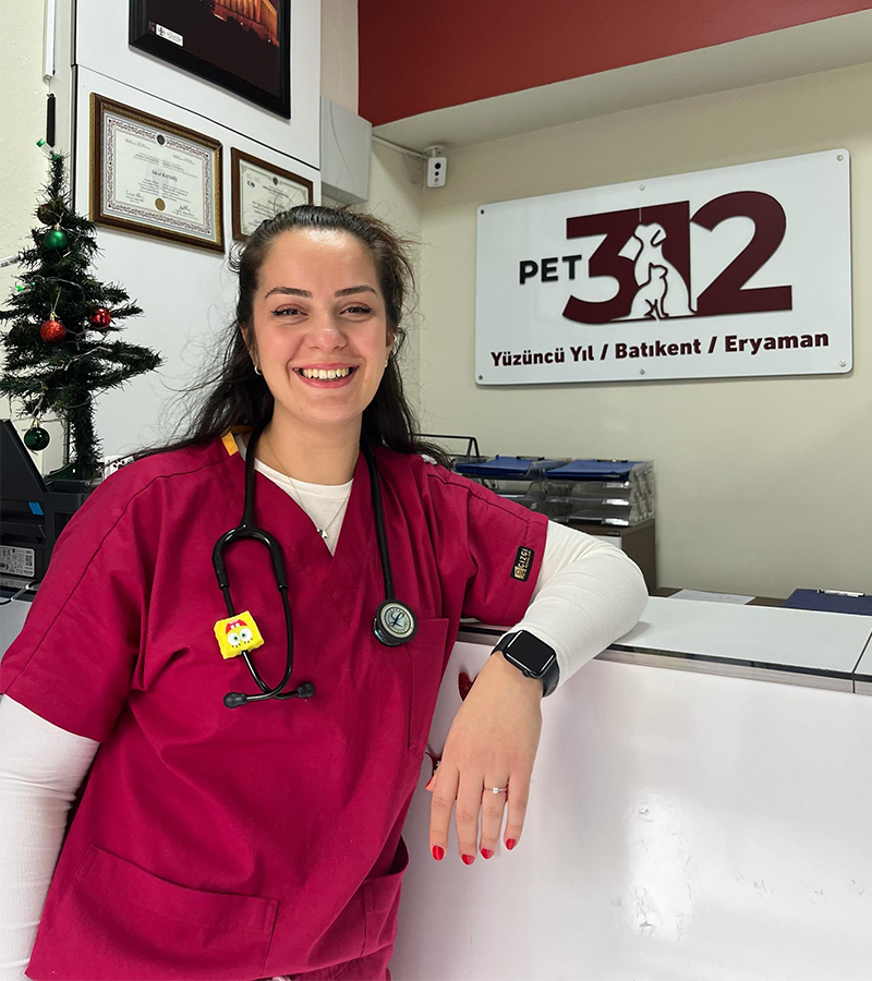 Pet%20312